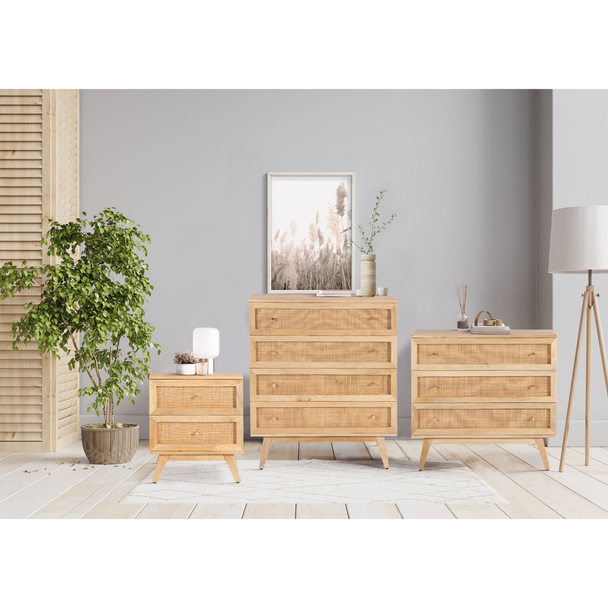 Olearia Bedside Table 2 Drawer Storage Cabinet Solid Mango Wood Rattan Natural