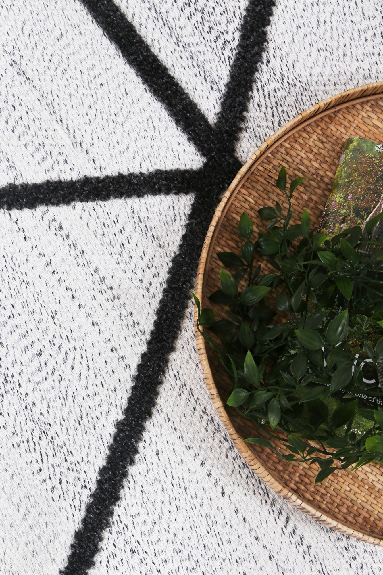 ares-01-cream-anthrasite 240x330